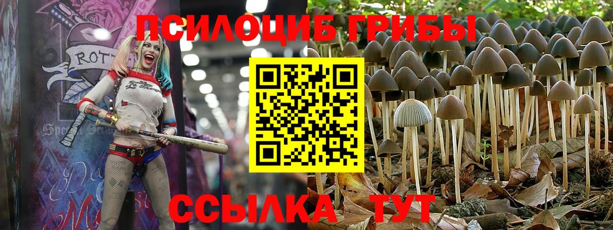 Горно-Алтайск  Галлюциногенные грибы Magic Shrooms  Вход с VPN 